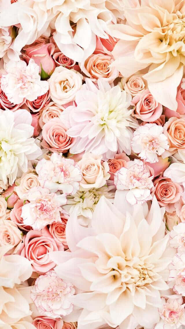 A Light Pink Floral Iphone Pattern Wallpaper