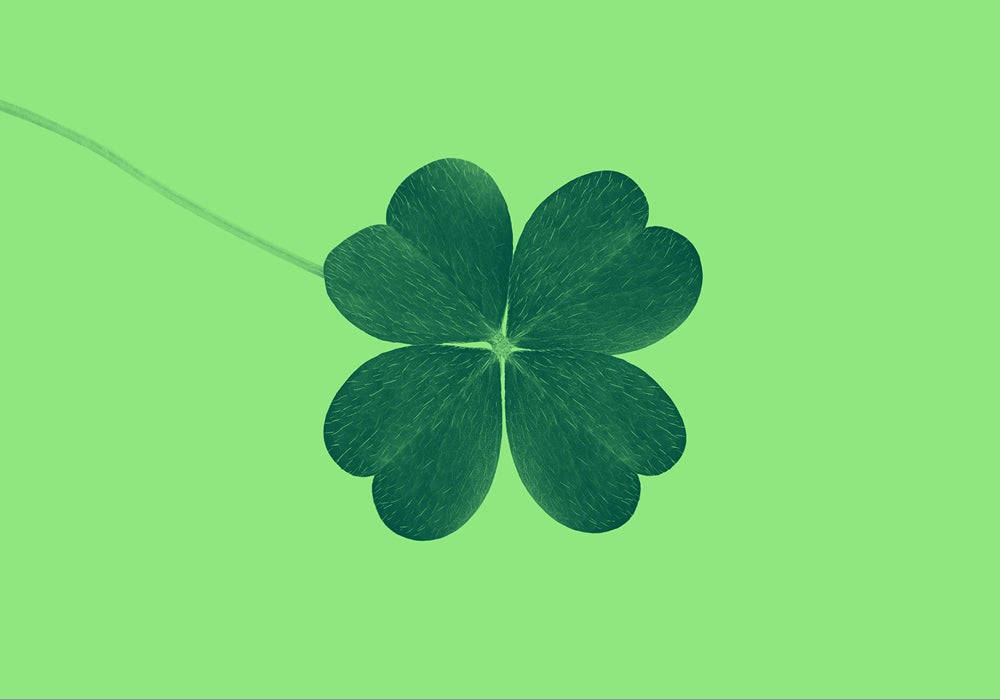 A Lucky Golden Four-leaf Clover Wallpaper