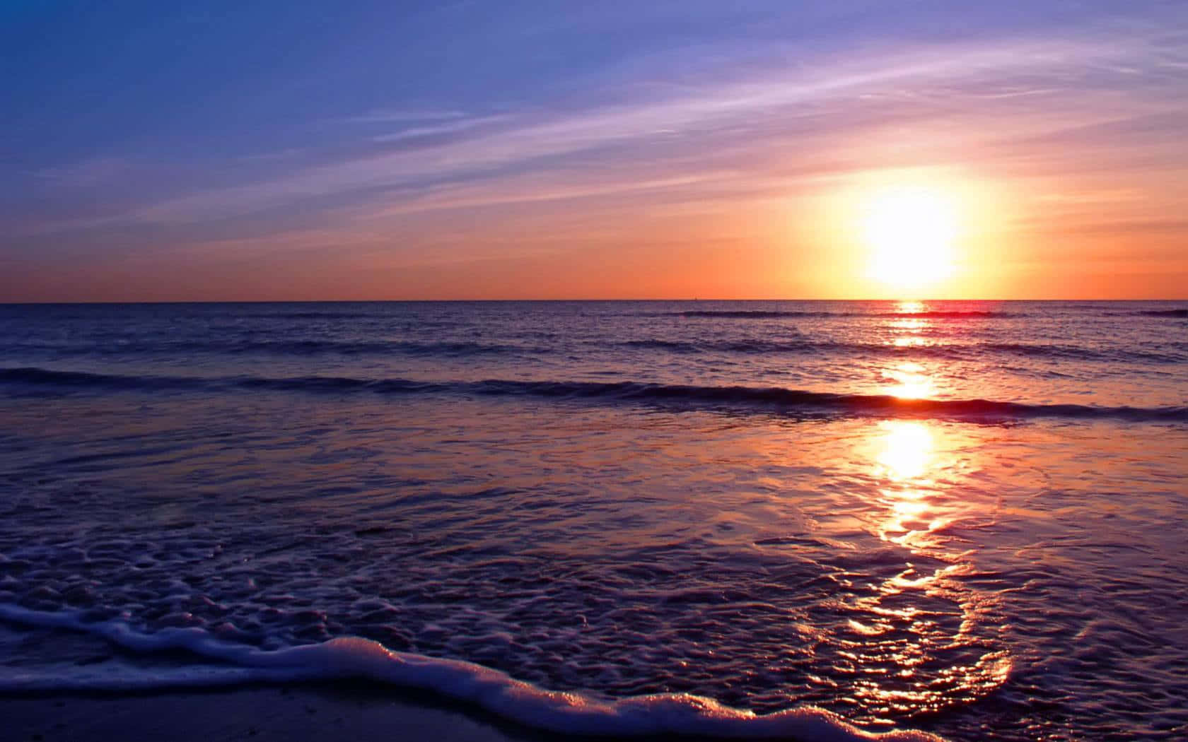 A Magical Moment Of A Dolphin Swimming Against The Backdrop Of A Spectacular Sunset Wallpaper