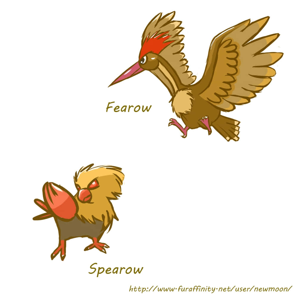 A Majestic Spearow In The Wild Wallpaper