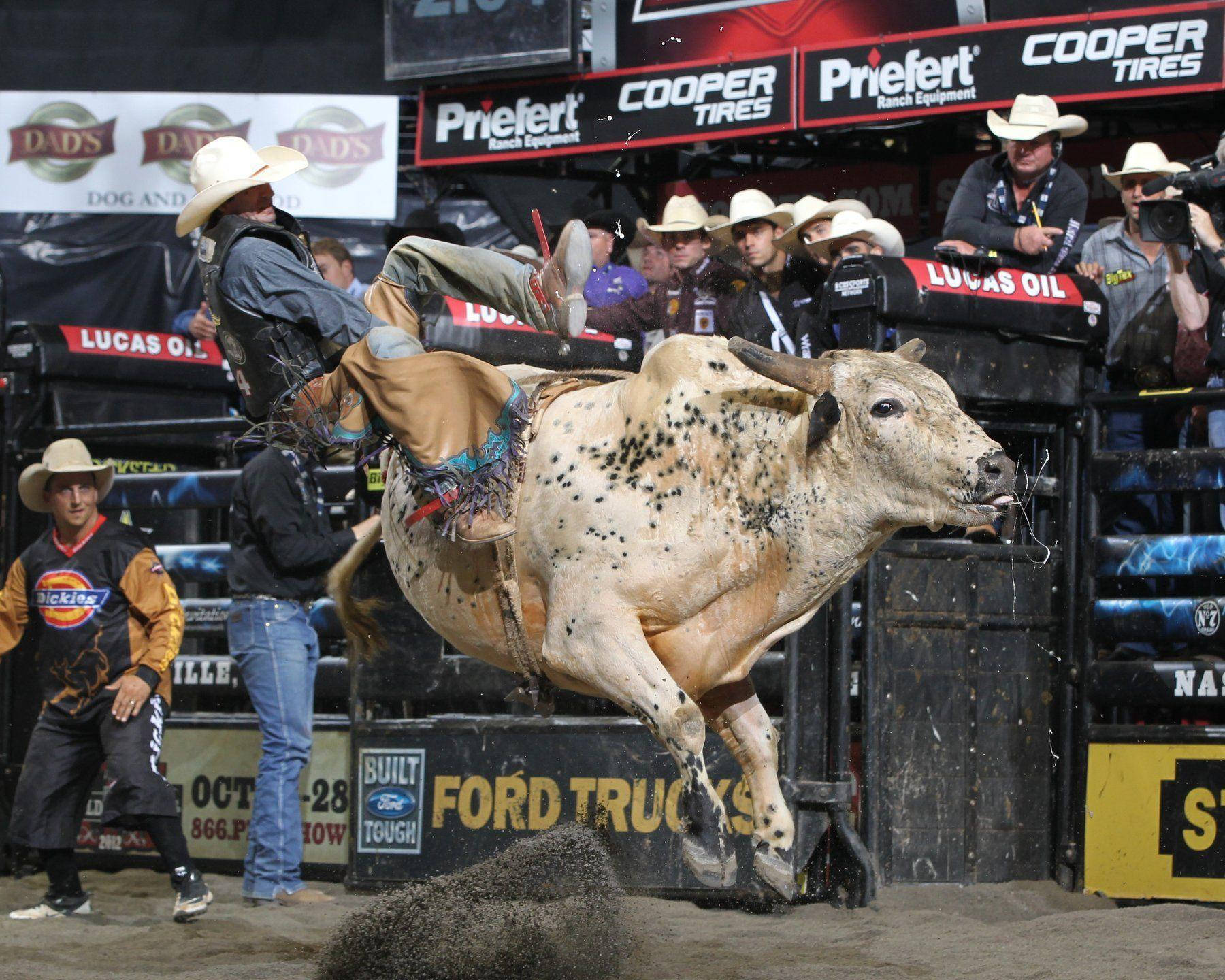 A Man Riding A Bull Wallpaper