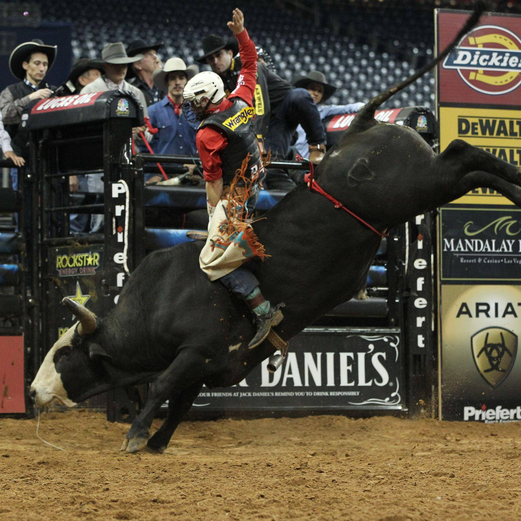 A Man Riding A Bull Wallpaper