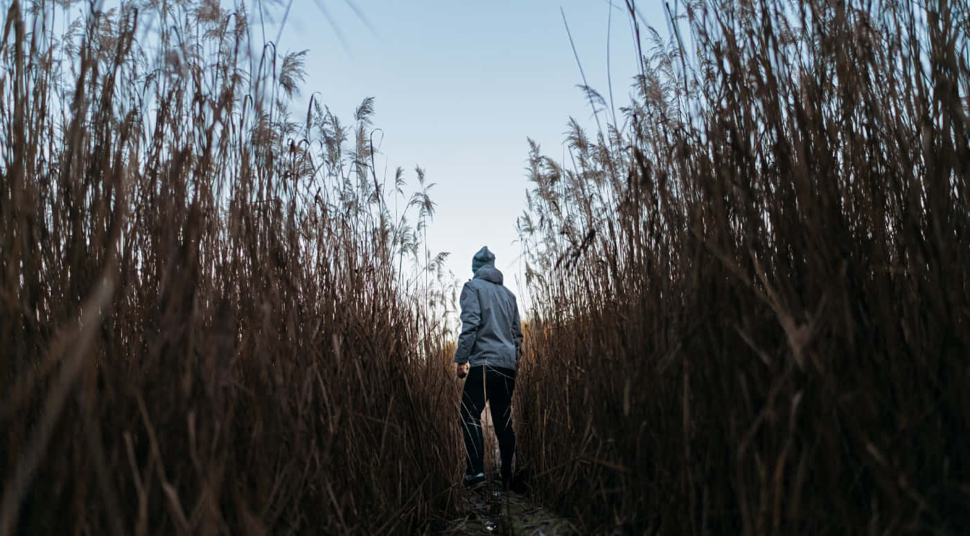 A Man Walking Through Tall Grass Wallpaper