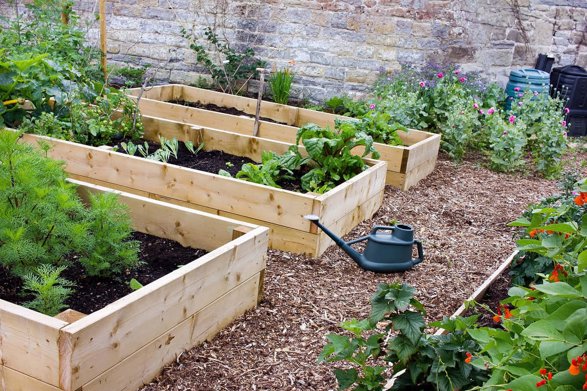 A Perfectly Landscaped Garden Bed For Any Home Wallpaper