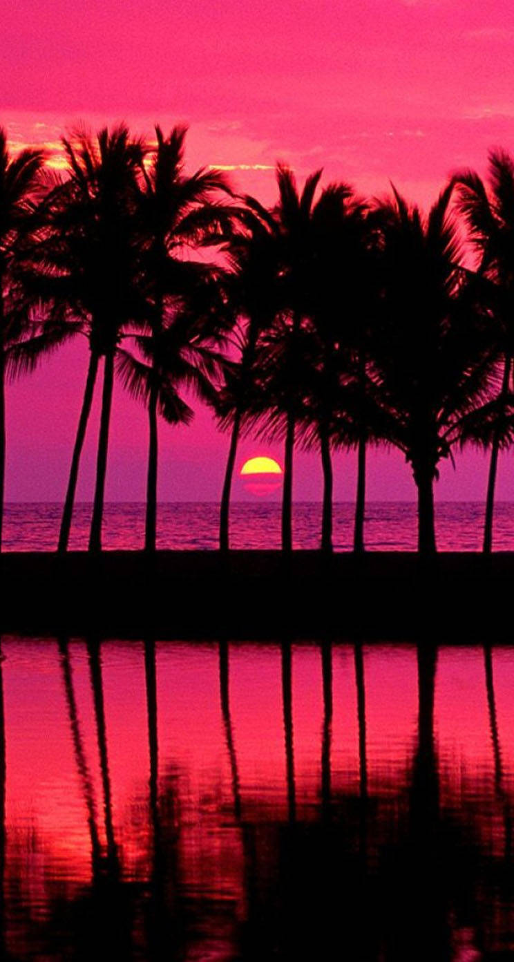 A Picture Of A Beautiful Pink Sunset With An Iphone In The Foreground. Wallpaper