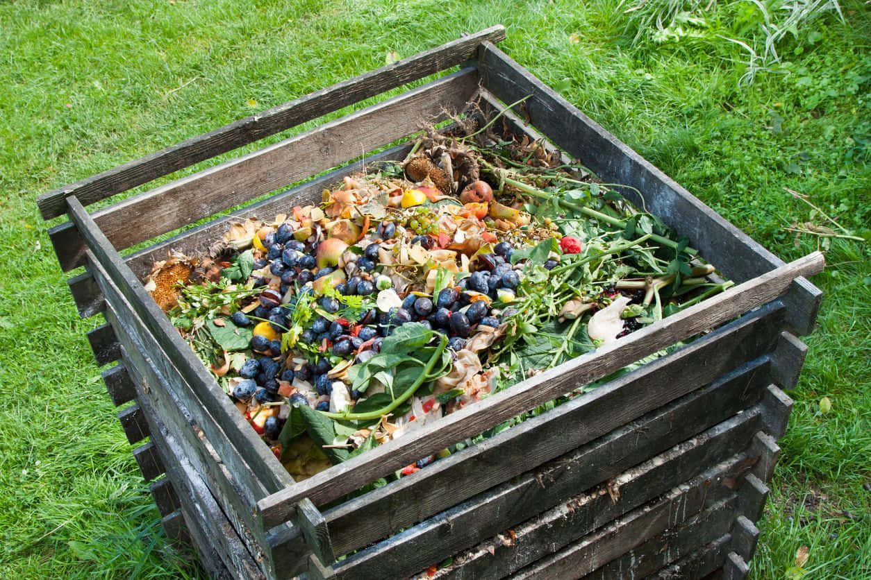 A Pile Of Nutrient-rich Compost In A Garden Bed Wallpaper