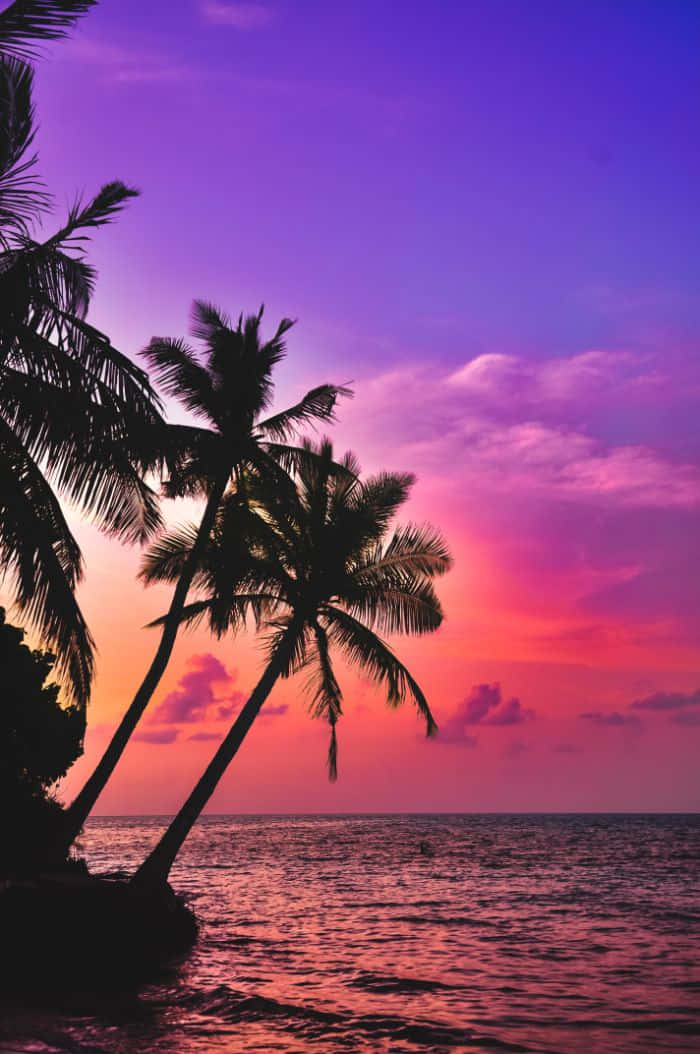 A Pink Hued Beach At Sunset Wallpaper