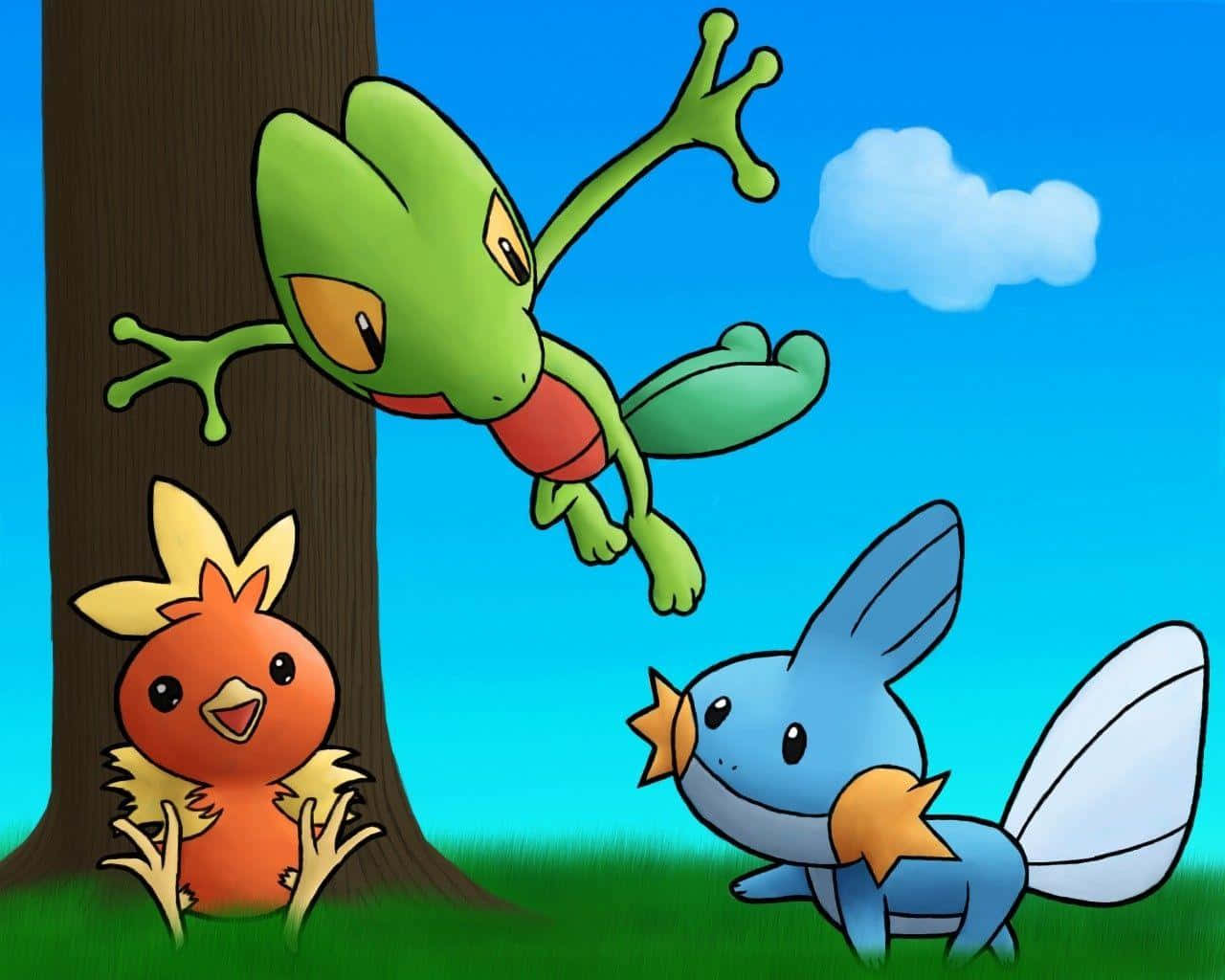 A Playful Pose Of Torchic With Treecko And Mudkip In A Vibrant Pokemon Setting. Wallpaper