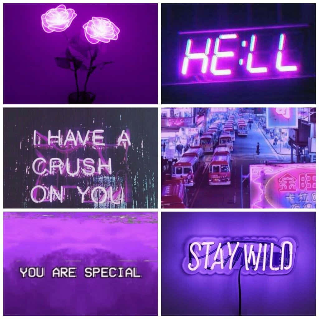 A Purple Neon Sign With The Words I Have A Crush On You Wallpaper