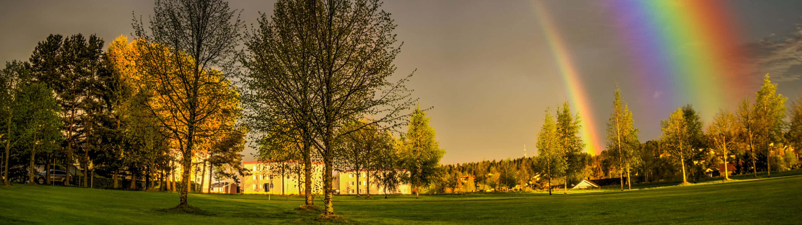 A Rainbow Is Seen Over A Field Of Trees Wallpaper