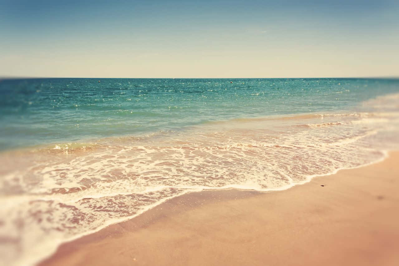 A Relaxing Beach Day Wallpaper