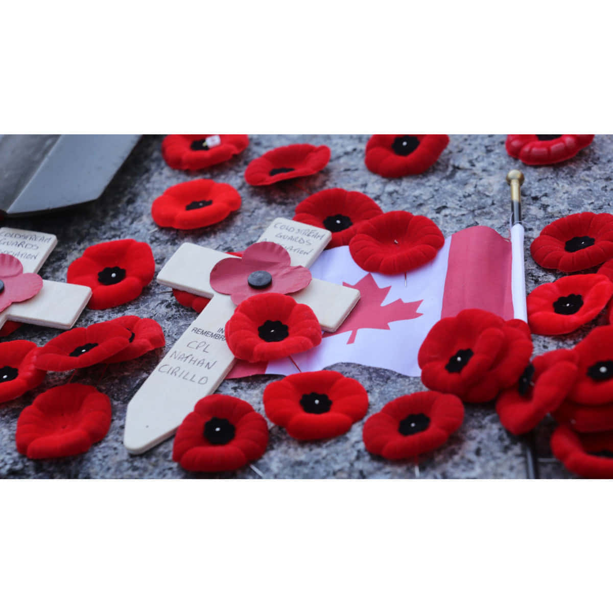 A Royal Canadian Army Soldier Paying Tribute On Remembrance Day Wallpaper