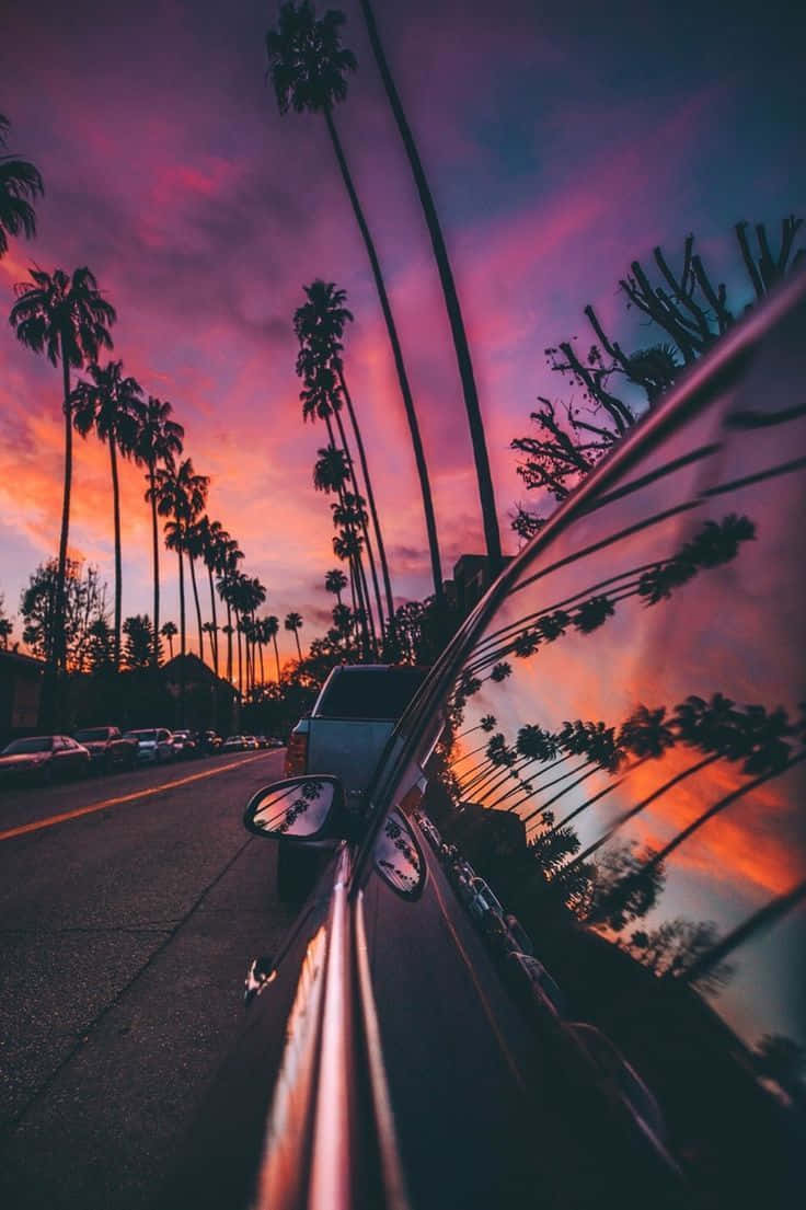 A Scenic Drive On Sunset Boulevard Wallpaper