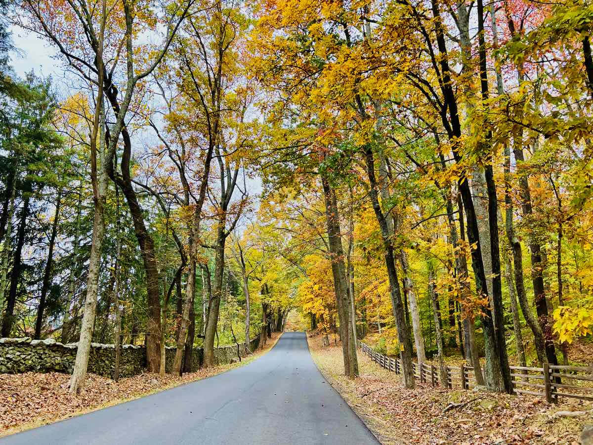 A Scenic Drive Through Fall Road Wallpaper