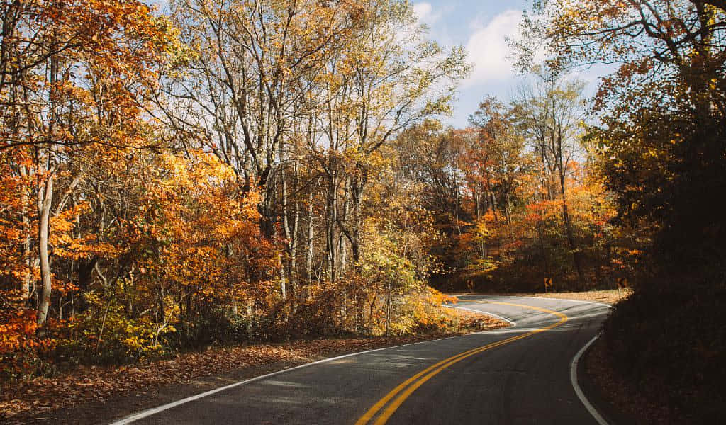 A Scenic Fall Road Wallpaper