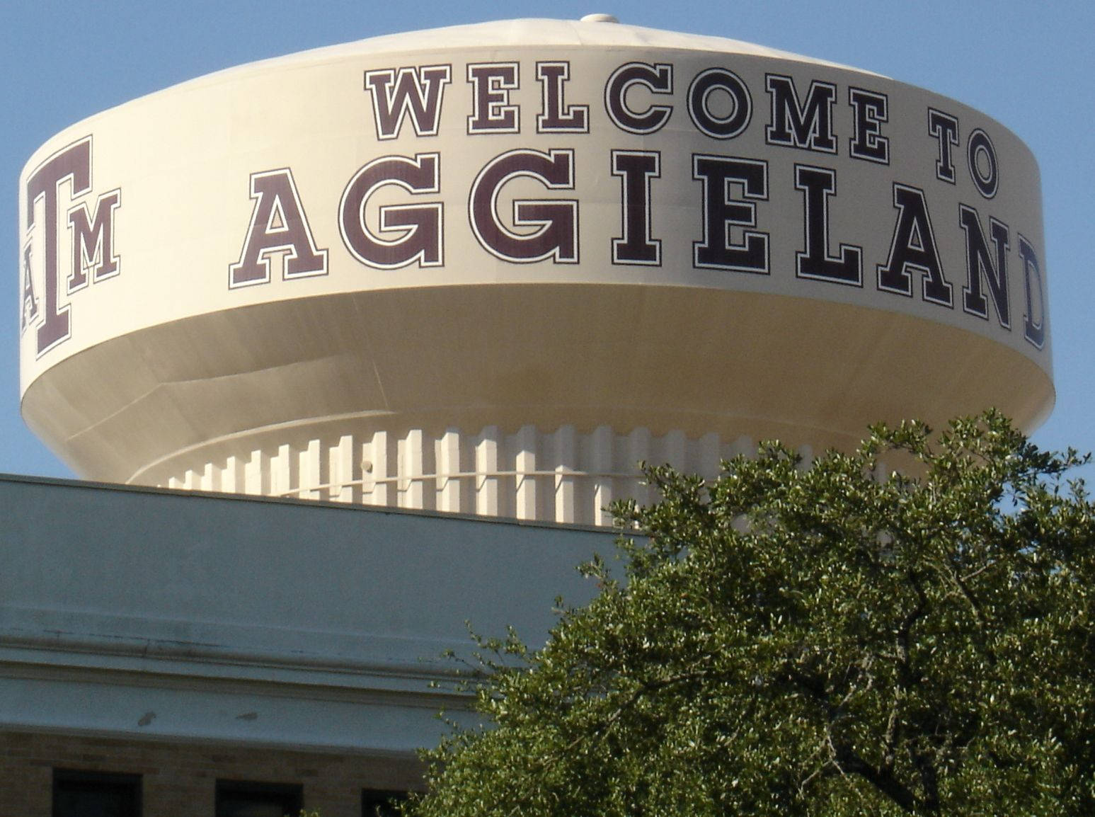 A Scenic View Of Texas A&m University Campus Wallpaper