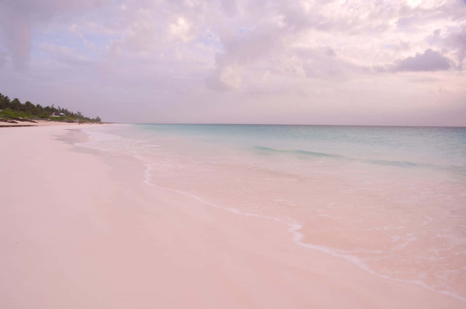 A Scenic View Of The Pink Sand Beach And Crystal Blue Waters Wallpaper