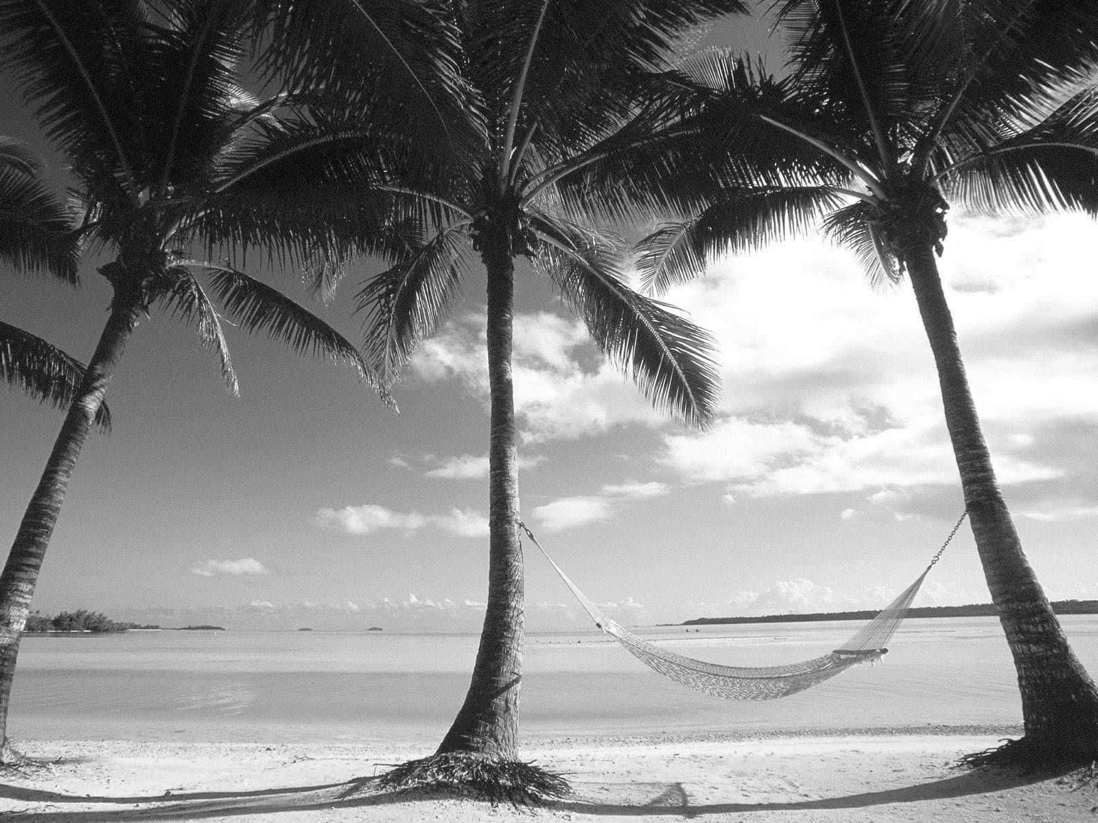 A Serene Black And White Beach Scene Wallpaper