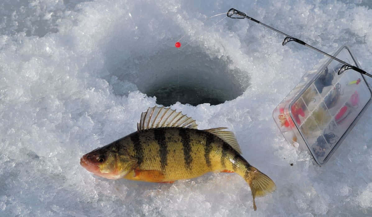 A Serene Moment On The Frozen Lake With Ice Fishing Equipment In Action Wallpaper