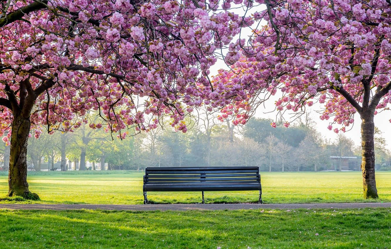 A Serene Spring Landscape In Spring Park Featuring A Lush Green Field, Vibrant Flowers And A Picturesque Bridge Over A Tranquil Pond. Wallpaper