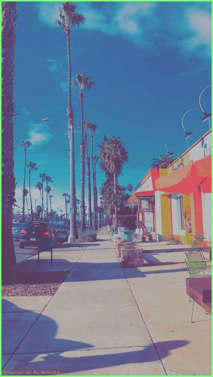 A Sidewalk With Palm Trees And A Colorful Sign Wallpaper