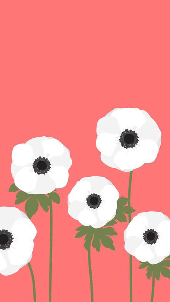 A Single, Simple Flower Blooming Wallpaper