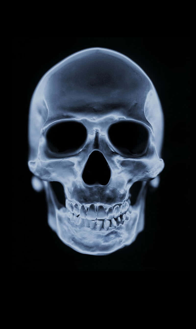 A Skull Is Shown On A Black Background Wallpaper