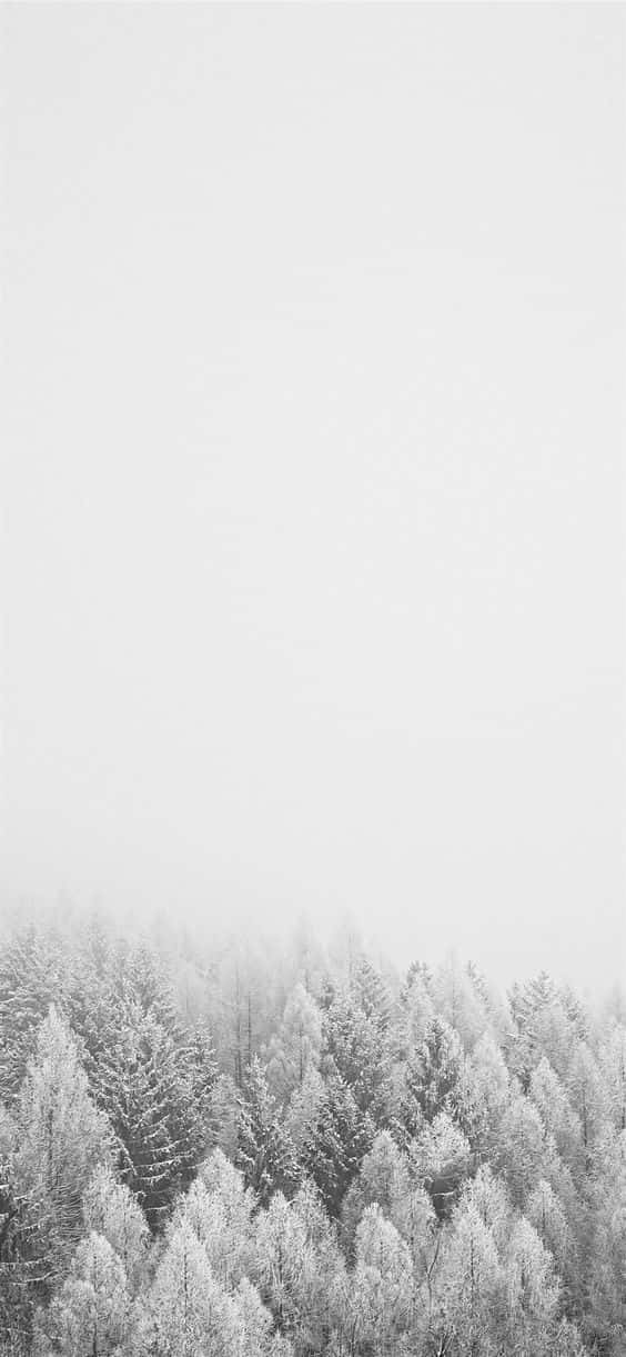 A Sleek Iphone In The Snow Wallpaper