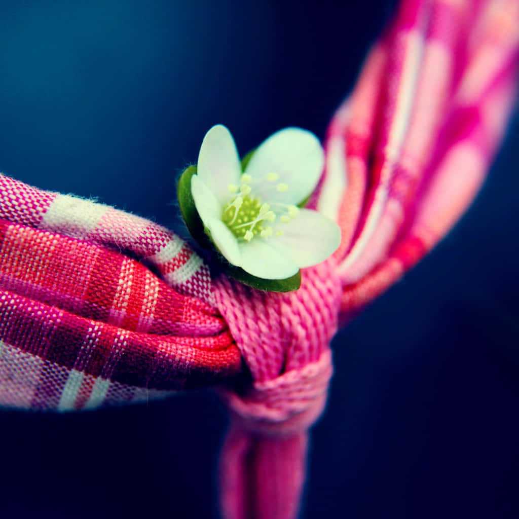 A Small White Flower On A Pink And White Checkered Tie Wallpaper