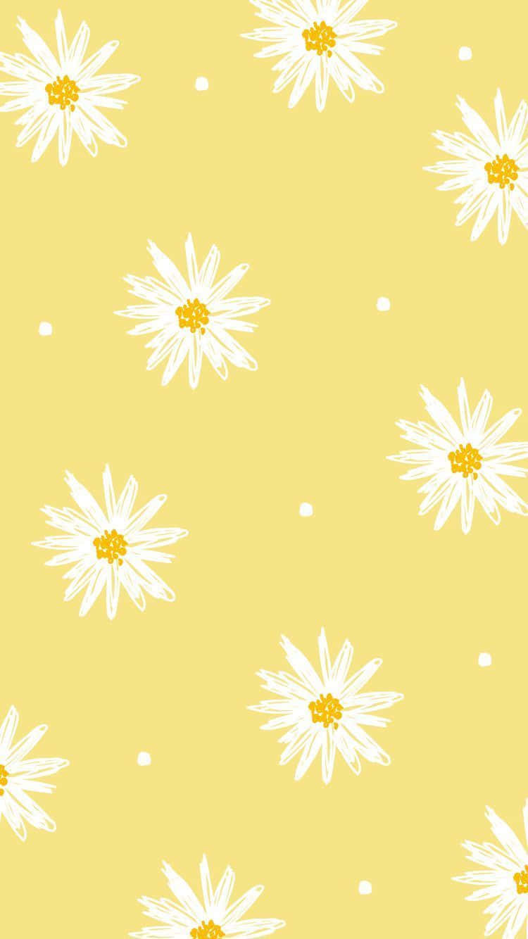 A Smile Filled With Sunshine Wallpaper