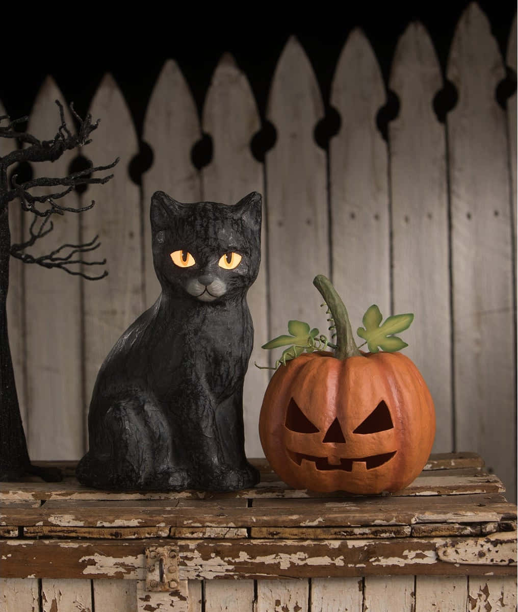 A Spooky Halloween Cat Ready To Bewitch. Wallpaper