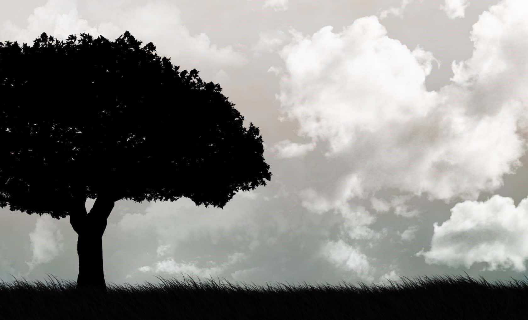 A Stunning Black And White Tree Silhouette Against A Cloudy Sky Wallpaper