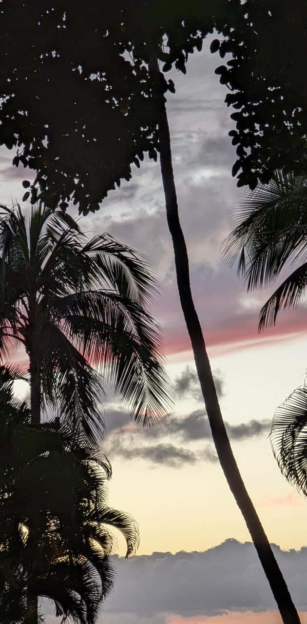 A Stunning Sight In Hawaii -- Golden Sunset Over The Horizon. Wallpaper