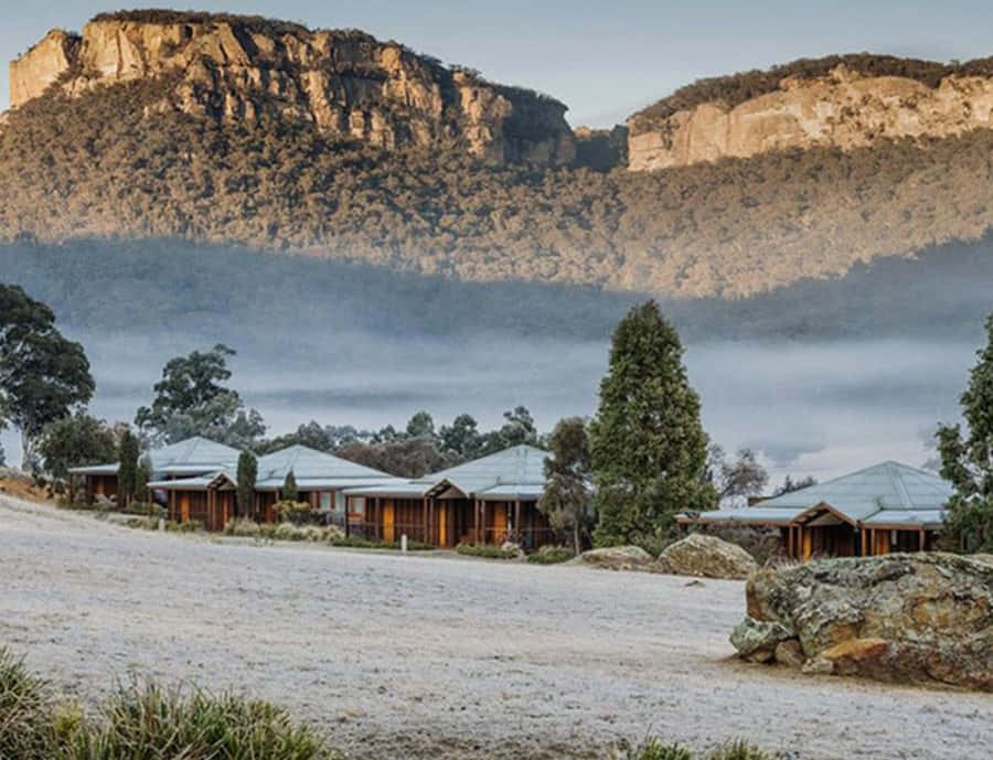 A Summer's Day In Blue Mountains National Park Wallpaper