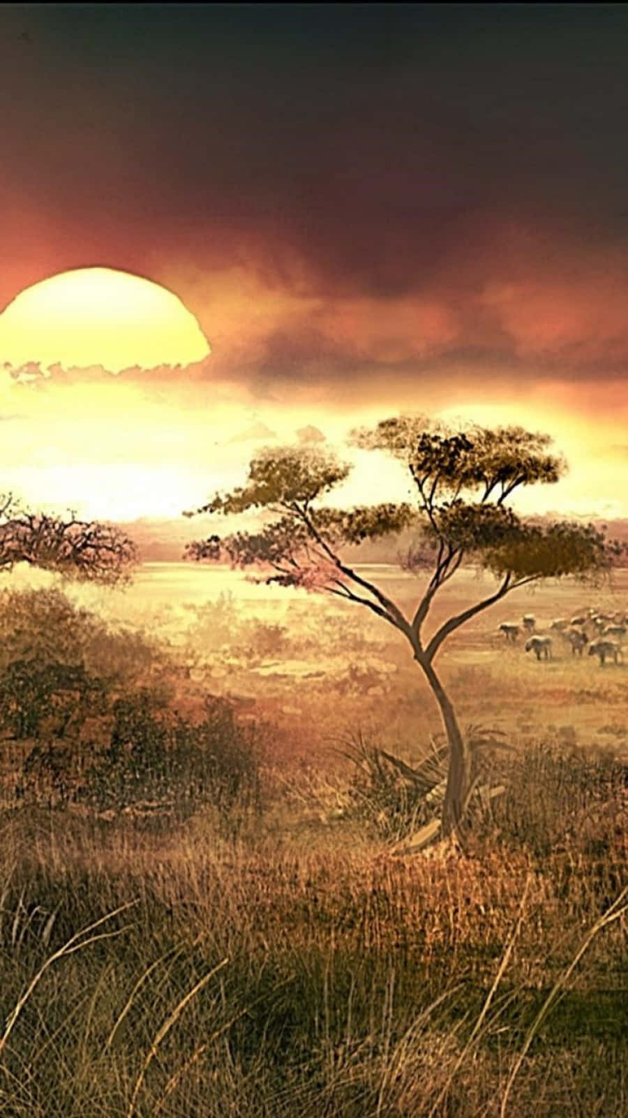 A Sunset In The Savannah Wallpaper