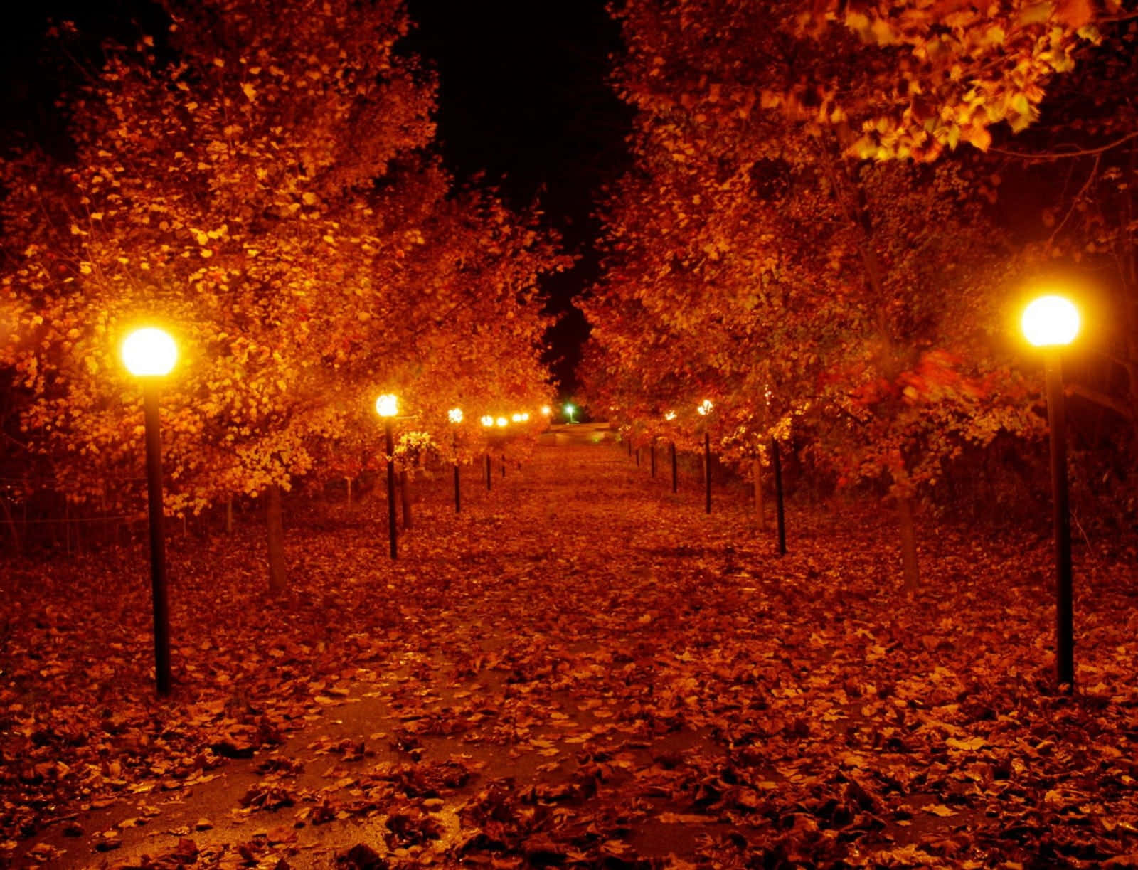 A Tranquil Autumn Evening By The Lake Wallpaper