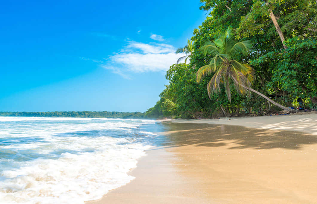 A Tranquil Jamaican Beach With Turquoise Waters And Lush Greenery Wallpaper