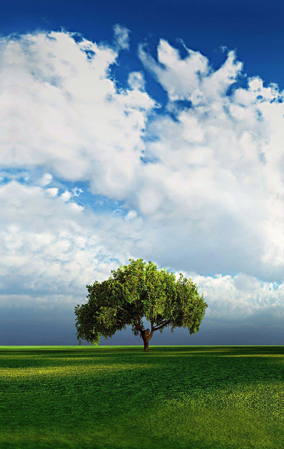 A Tree In A Field Wallpaper