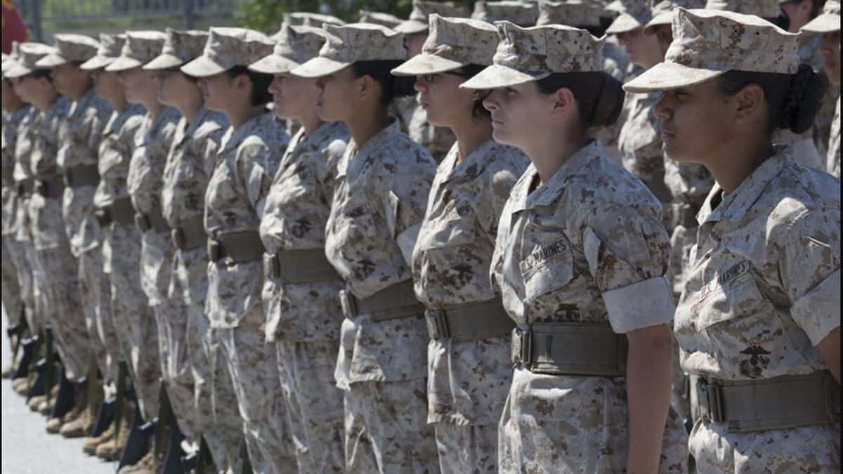 A United States Marine Stands Among His Brothers In Arms, Proudly Serving Their Country. Wallpaper