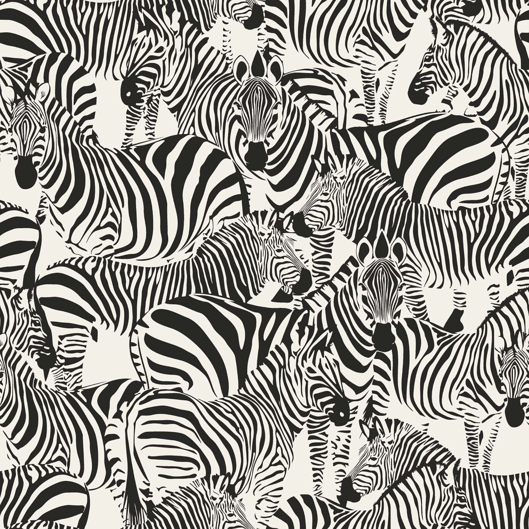 A Vibrant Black And White Animal Print Design. Wallpaper