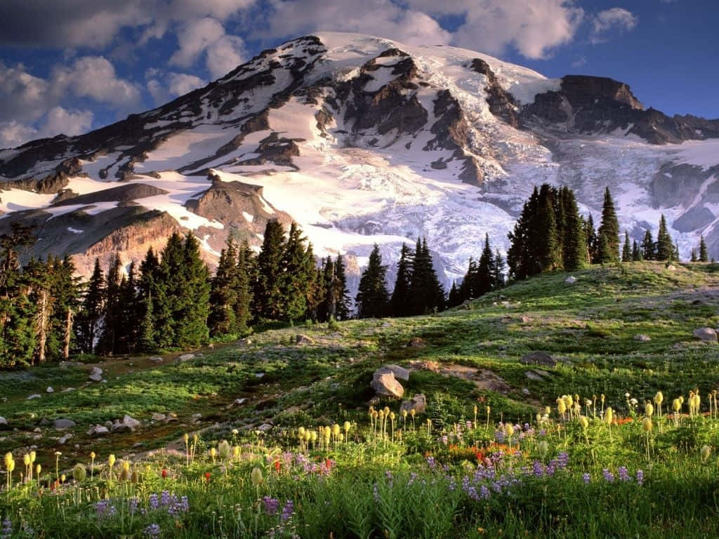 A Vibrant Haven: Spring Mountain Adorned In Colorful Flora And The Backdrop Of A Mesmerizing Blue Sky Wallpaper