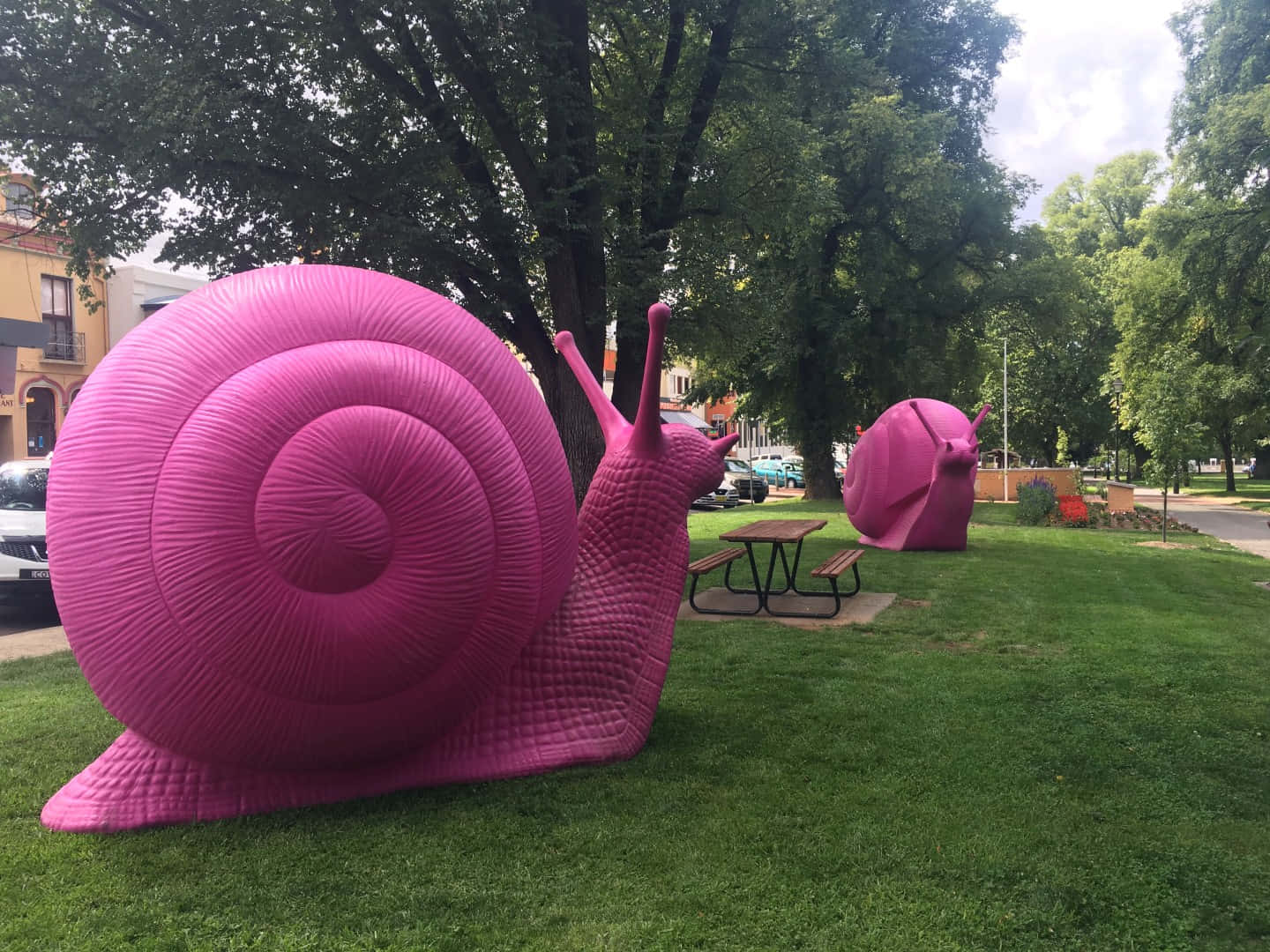 A Vibrant Pink Snail In Nature Wallpaper