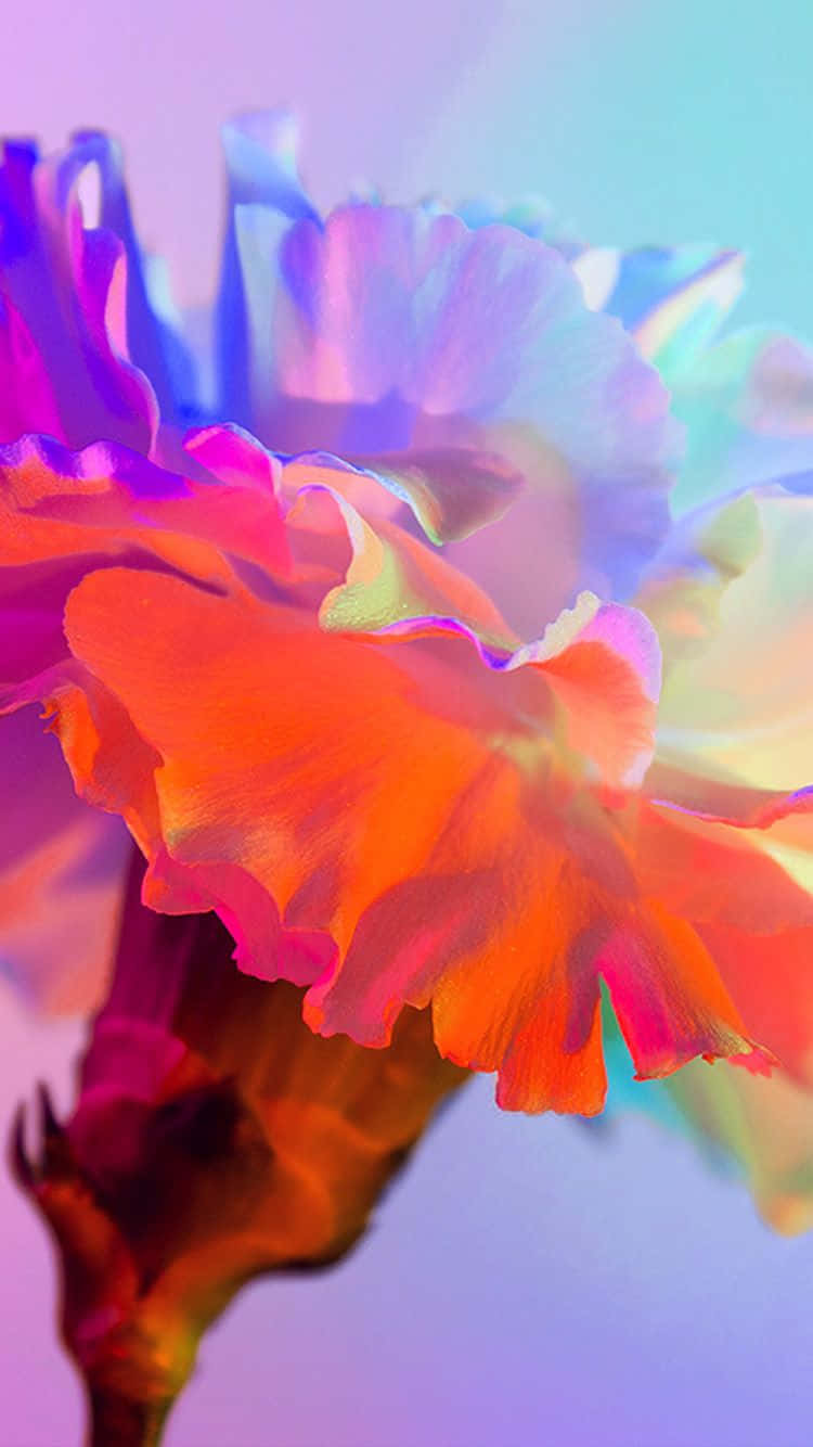 A Vibrant Rainbow Flower Entwined Around An Iphone Wallpaper