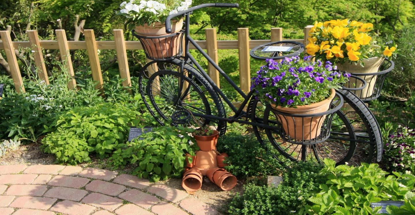 A Vibrant, Thriving Herb Garden In Full Bloom Wallpaper