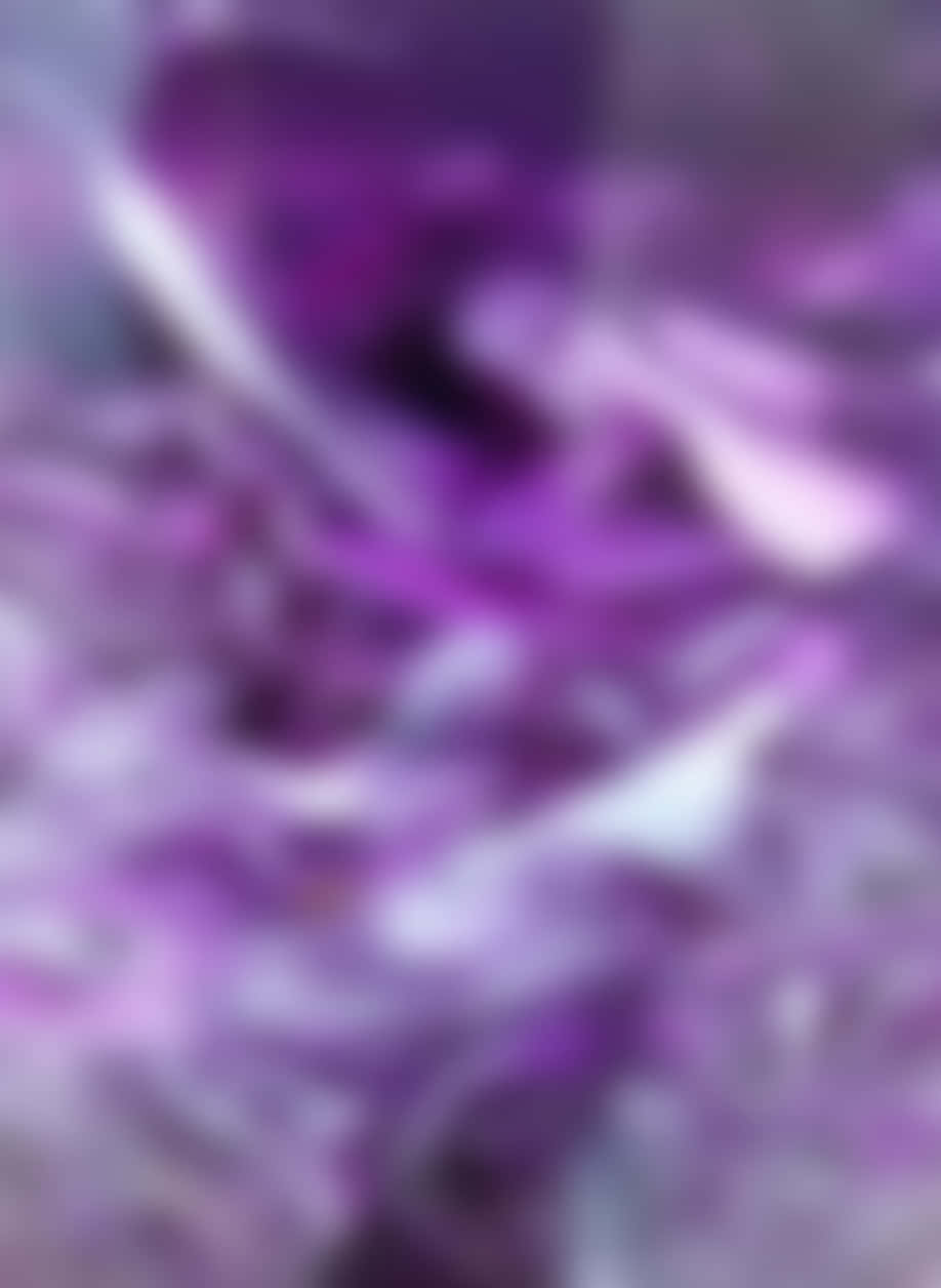 A View Of The Mystical Purple Haze Wallpaper