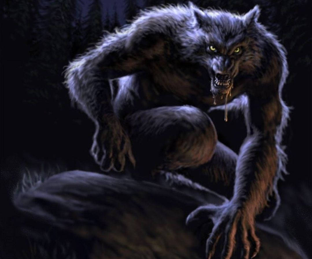 A Werewolf Lurking In The Shadows Of The Forest Wallpaper