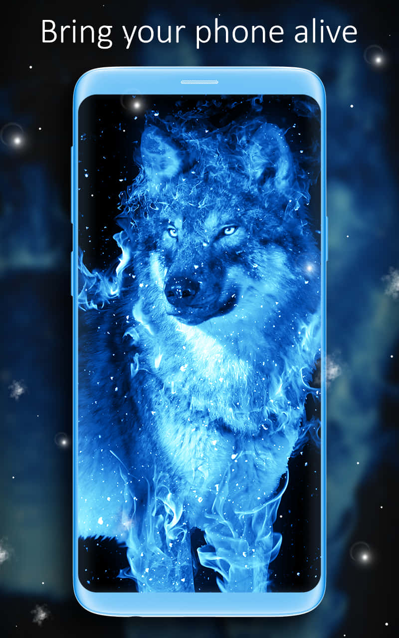 / A Wolf With Fire And Ice Power / Wallpaper