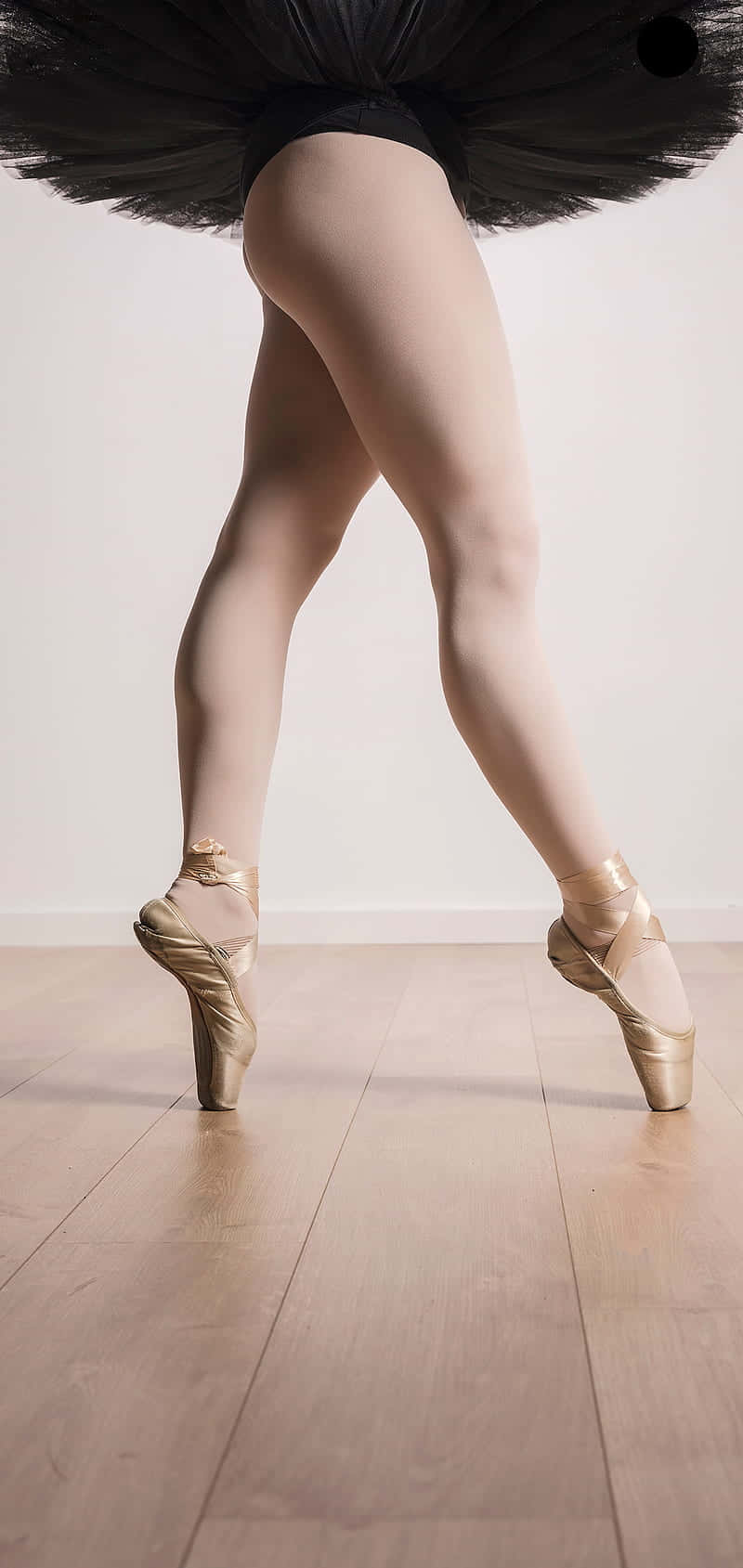 A Woman In A Black Tutu Standing On A Wooden Floor Wallpaper