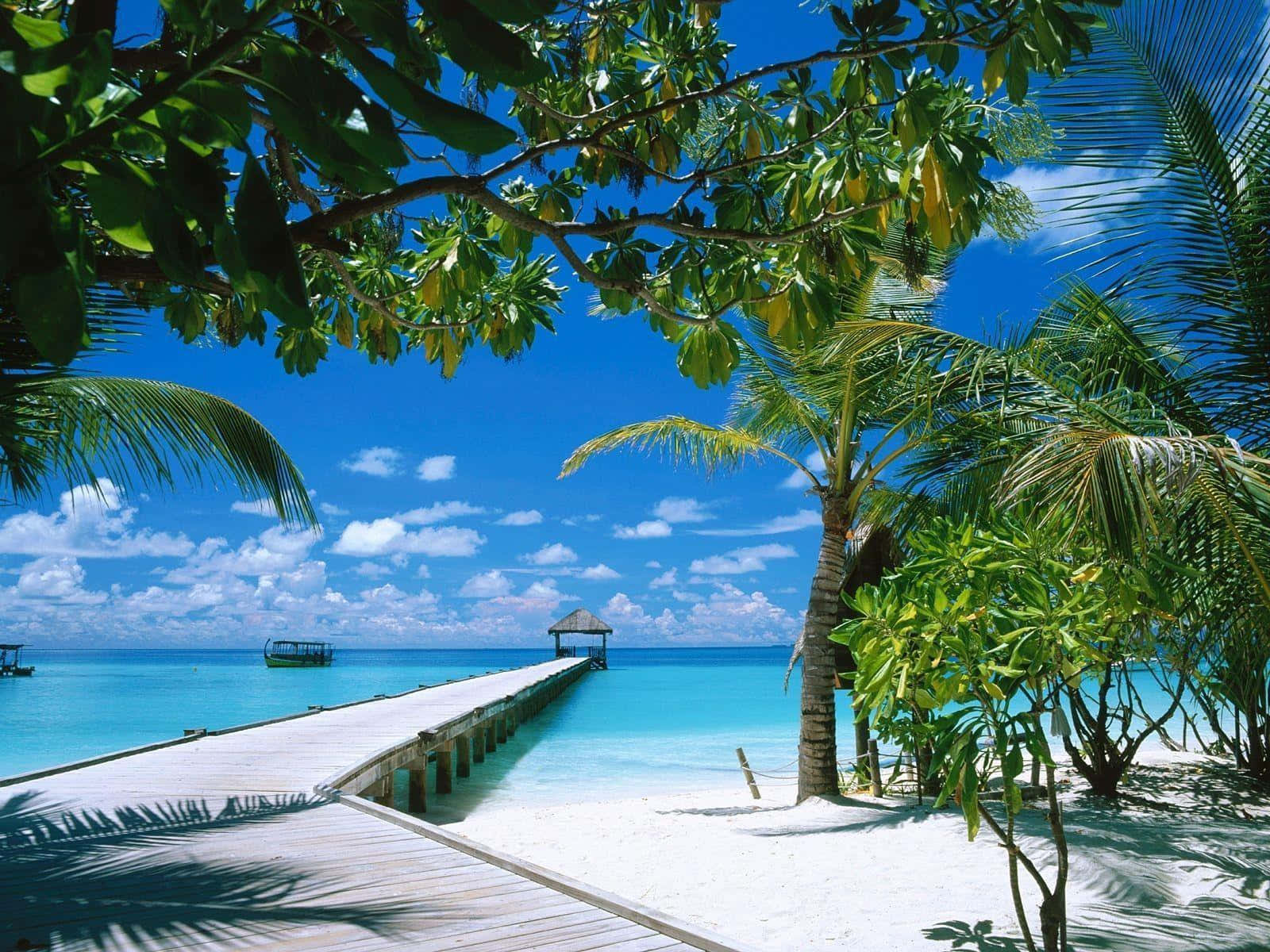 A Wooden Walkway Leading To A Beach Wallpaper