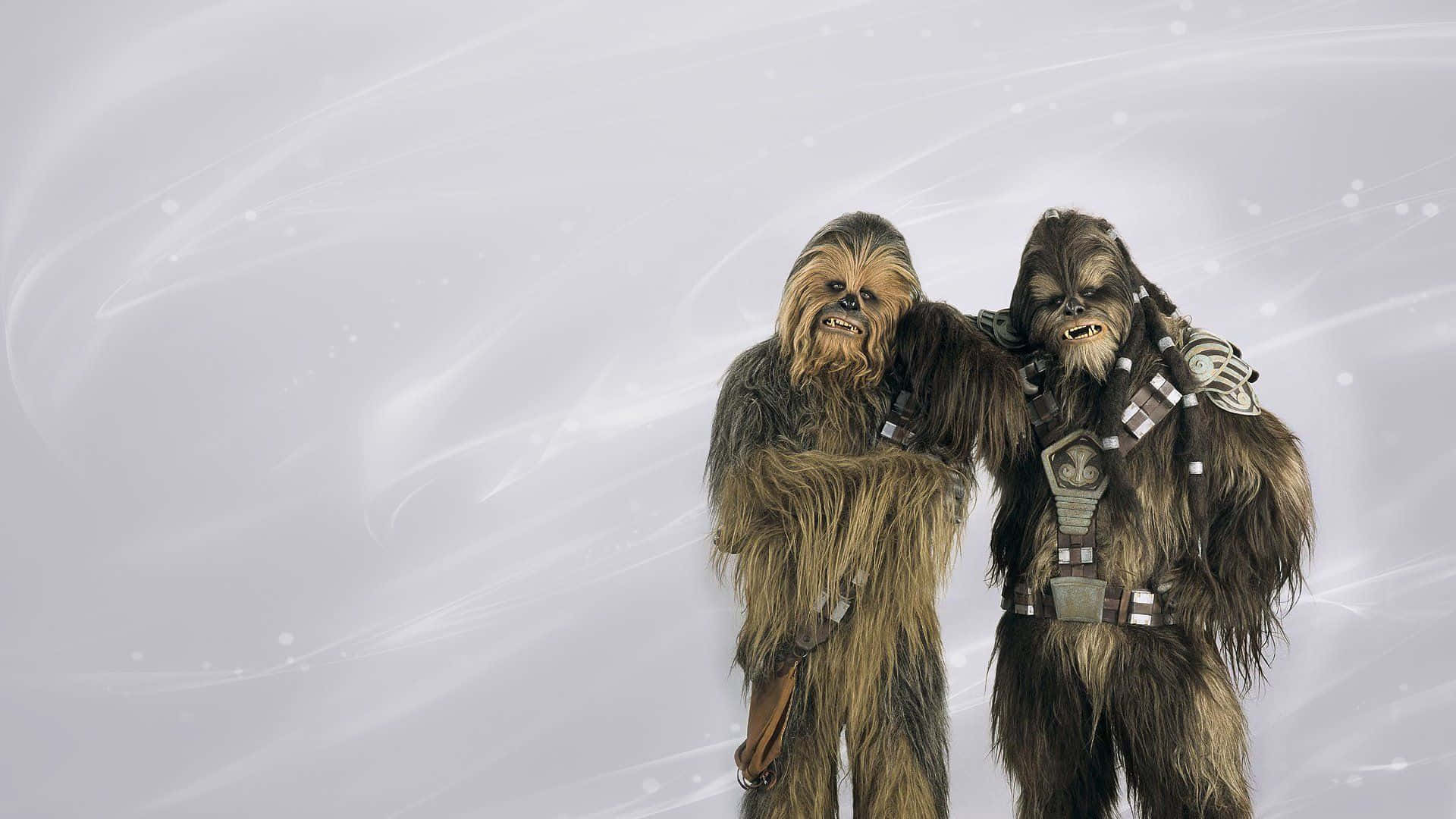 A Wookiee Captures Their Thoughts In A Diary Wallpaper